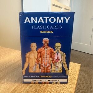 Anatomy Flash Cards by QuickStudy